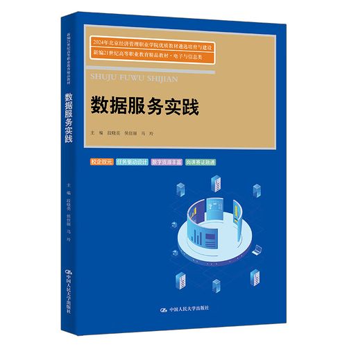 數據服務實踐 從理論框架到行業落地的關鍵路徑